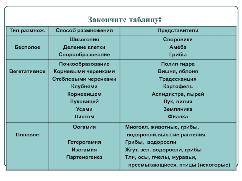 На сайте кракен пропал пользователь