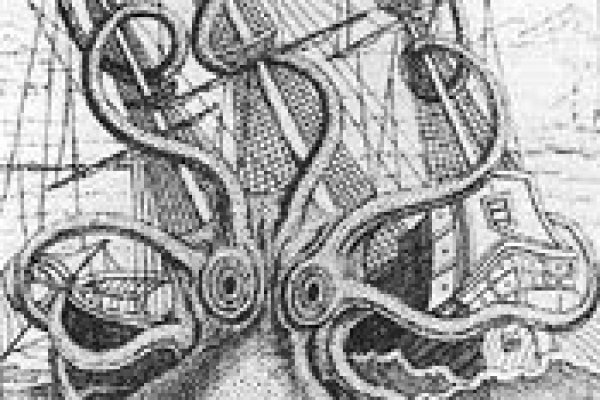 Kraken site