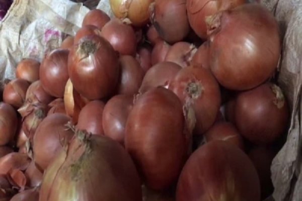 Ссылка на кракен