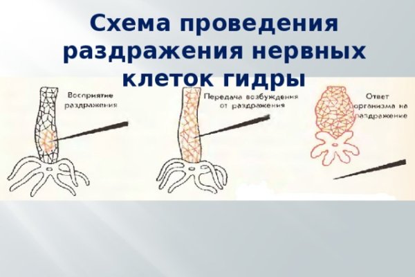 Kraken зеркало даркнет